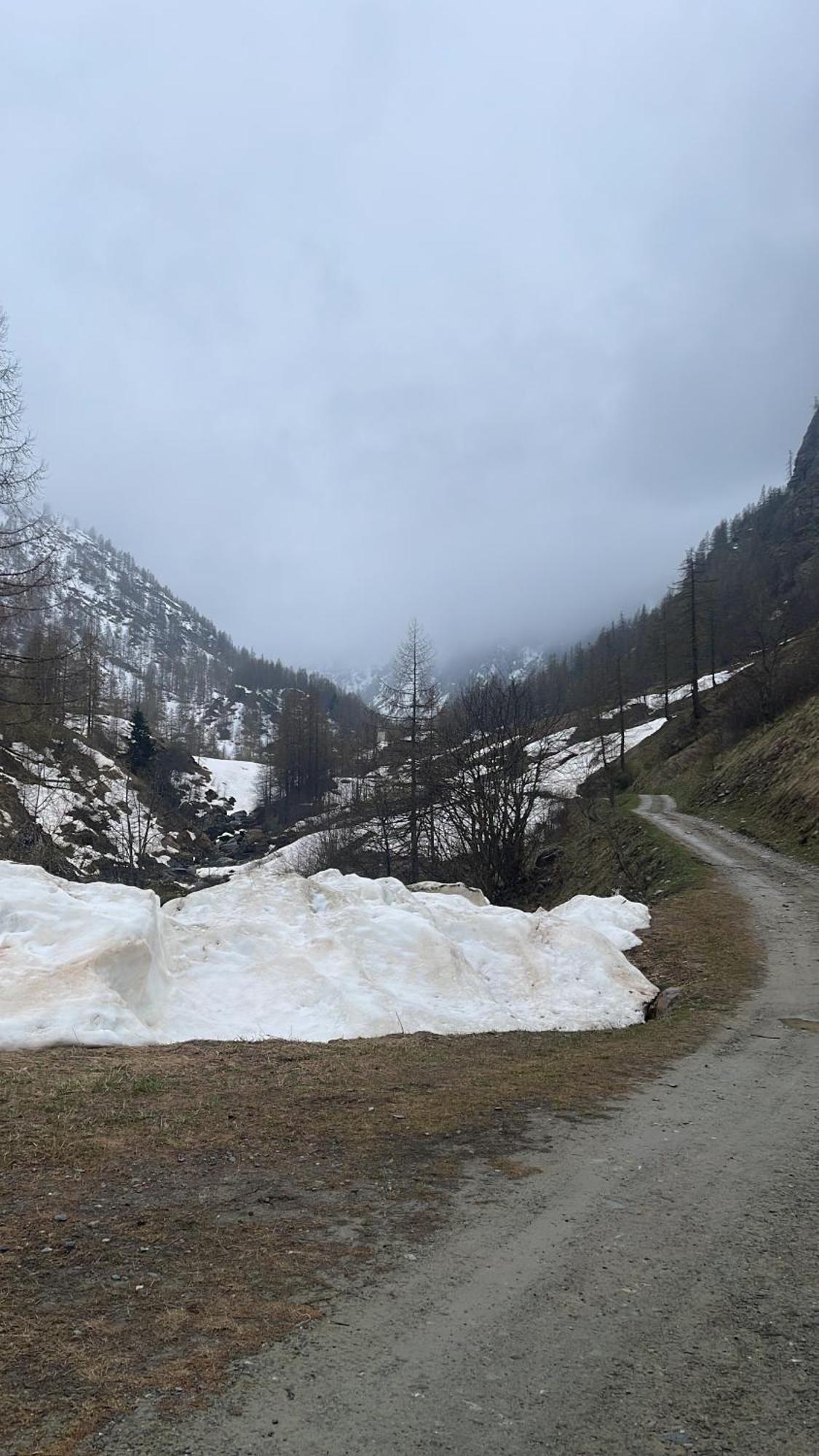 Laghi Di Como Appartamento Di Licinia E Mario Asso エクステリア 写真