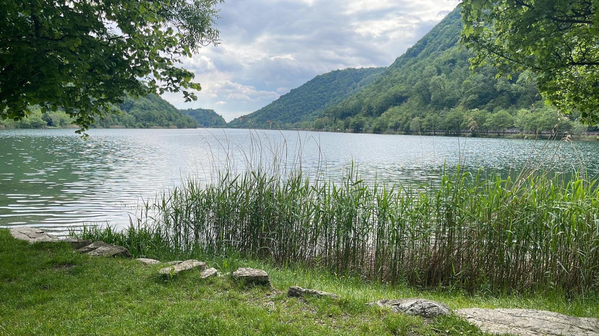 Laghi Di Como Appartamento Di Licinia E Mario Asso エクステリア 写真